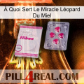 À Quoi Sert Le Miracle Léopard Du Miel 32
